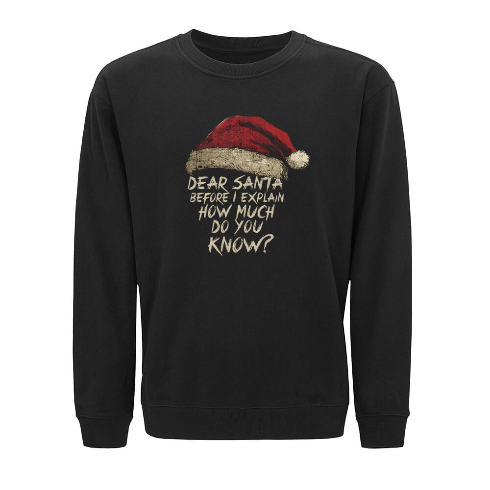 How Much You Know Sweatshirt - Norday SE