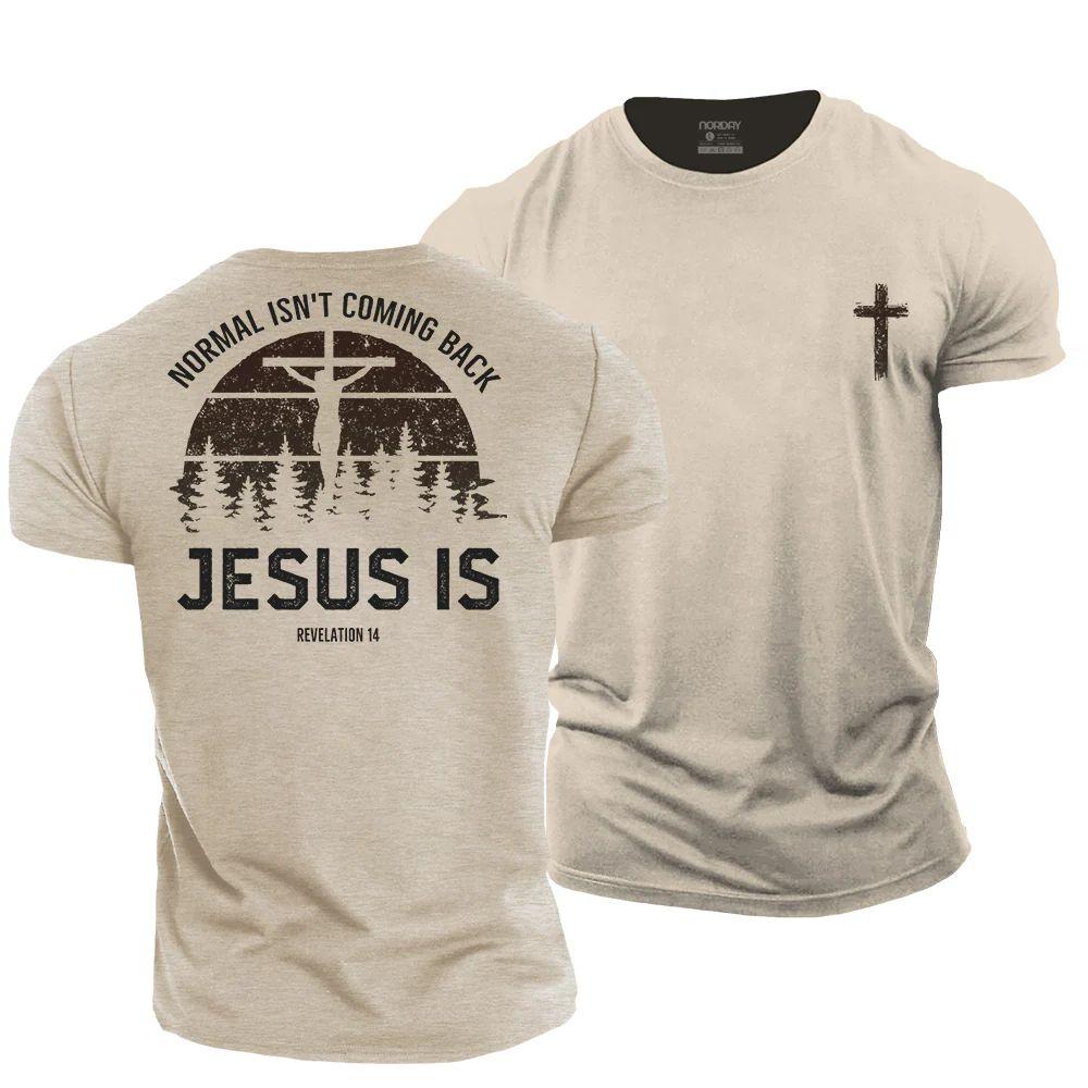 Normal Isn't Coming Back, Jesus Is T-Shirt - Norday SE